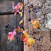 a few photos. Photograph project by Eve Neuhaus - 04.22.2021