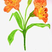 Mi Proyecto del curso: Acuarela botánica: ilustra la anatomía de las flores. Un progetto di Pittura ad acquerello di mundo_marlen - 24.04.2021