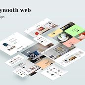 Maynooth Web. Un proyecto de 3D, Diseño interactivo, Diseño Web y UX / UI de Jose López López - 23.08.2020