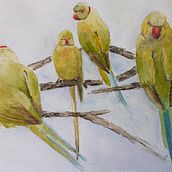 My project in Artistic Watercolor Techniques for Illustrating Birds course. Painting project by scotpam - 04.23.2021