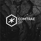 COMTRAE - Visual Identity. Projekt z dziedziny Br, ing i ident i fikacja wizualna użytkownika William Jungmann - 24.11.2019
