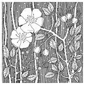 Rosehip. Un progetto di Illustrazione tradizionale di Beth Woolrich - 24.04.2021