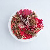 What's Up Caleb Kohl? (Red). Un progetto di Belle arti, Fiber Art e Artigianato di Dania - 01.11.2020