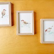 Oiseaux des villes. Een project van Aquarelschilderen van Rebecca Bedout - 15.02.2021