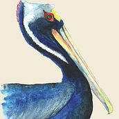 Pelicano, un viaje a México.. Projekt z dziedziny Trad, c i jna ilustracja użytkownika Iana perez nollet - 24.04.2021