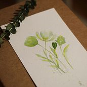 Acuarela botánica. Drawing, Traditional illustration, Botanical Illustration, and Watercolor Painting project by Sofía Carro - 04.24.2021