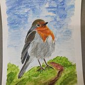 Some of my work with colouring pencils. Traditional illustration project by Ana T Vargas Frutos - 04.24.2021