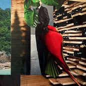 Am I REALLY?... Un progetto di Collage di Agata Miros - 24.04.2021
