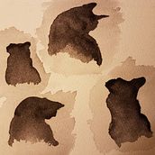 Chat Ein Projekt aus dem Bereich Aquarellmalerei von Lorenzo Milo - 03.02.2021