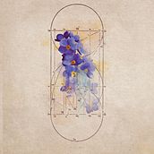 Flrs. Digital Illustration project by Koop - 04.25.2021