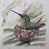 Home sweet home of a hummingbird . Pictură în acuarelă de Maria Mazariegos - 04.25.2021