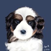 Realistic Puppy Portrait . Een project van Kinderillustratie, Concept art, Digitale tekening, Digitale illustratie, Digitaal schilderij y Tekening van Kyra H. - 24.04.2021
