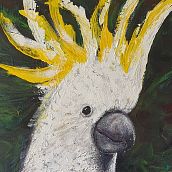 Crazy Cocky. Acr, lic Painting, Pencil Drawing, and Sketching project by Laura Debello - 05.01.2020