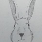 Diverse Zeichnungen. Un proyecto de Dibujo de Anna Froehlingsdorf - 25.04.2021