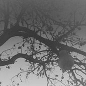 Black and white view. Film Photograph, and Fine-Art Photograph project by Cristina Ros - 03.10.2021
