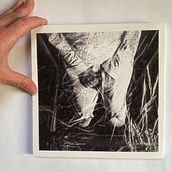 ‘Artista - self produced fanzine . Art Direction, Collage, Creativit, and Narrative project by Laura Bernard - 04.25.2021