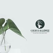 Ciervo & López | Plantas con Sentido. Design, and Traditional illustration project by Sergio Toro - 04.26.2021