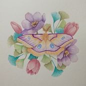 Mi Proyecto del curso: Dibujo y composición naturalista en acuarela. Un progetto di Pittura ad acquerello di cmarceh_art - 26.04.2021