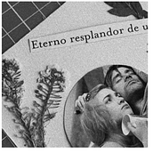 Mi Proyecto del curso: Técnicas básicas de prensado botánico. Collage project by Daniela Escalona - 04.26.2021