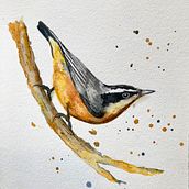 My project in Artistic Watercolor Techniques for Illustrating Birds course. Traditional illustration project by Melissa Malm - 04.26.2021