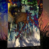 Backyard Daydream . % Tina G Lee tarafından hazırlanan Dijital İllüstras, Ve on projesi - 04.25.2021