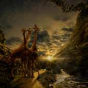 Meu projeto do curso: Segredos da fotomontagem e do retoque criativo. Graphic Design, and Photomontage project by Mila Dienstmann - 04.26.2021