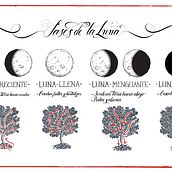 La caja de siembre de Miranda. Calligraph, Drawing, Design, and Traditional illustration project by Johanna Logreira - 10.28.2020