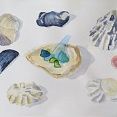 My Final Project! Illustrating Nature: A Creative Exploration. Projekt z dziedziny Trad, c i jna ilustracja użytkownika Catherine Salmon - 27.04.2021