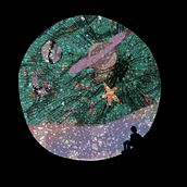 Mi Proyecto del curso: Creación de texturas para ilustración digital en Photoshop. Un progetto di Illustrazione tradizionale, Illustrazione con inchiostro e Illustrazione digitale di Paulina Aravena - 28.04.2021