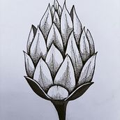 Meu projeto do curso: Desenho de tatuagem blackwork. Un progetto di Illustrazione tradizionale e Illustrazione botanica di Laisa Figueiredo - 28.04.2021
