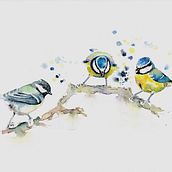 My project in Artistic Watercolor Techniques for Illustrating Birds course. Un projet de Aquarelle de Mary Wells - 27.04.2021