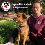 Peluditos Murcia. Un proyecto de Br, ing e Identidad, Composición fotográfica, Diseño gráfico y Fotografía de Juanjo Mirete Garcia - 29.04.2021