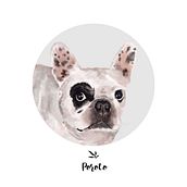 POROTO. Traditional illustration, Drawing, Digital Illustration, and Artistic Drawing project by Eleonora Galdós - 10.01.2020
