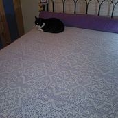 My first bedspread. Un proyecto de Crochet de Assuncao (Sue) Medeiros - 19.09.1989