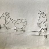My project in Artistic Watercolor Techniques for Illustrating Birds course. Traditional illustration, Watercolor Painting, Realistic Drawing, and Naturalistic Illustration project by Sheila Smart - 05.02.2021