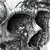 Spheksophobia. Ilustração com tinta projeto de Raqmu Art - 02.05.2021