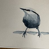 Ruth Coales Hi I have just returned to art and yours in the third course I have done with Domestika.  I really enjoyed doing your class and will continue to practise painting more birds.. Watercolor Painting project by Ruth Coales - 05.03.2021