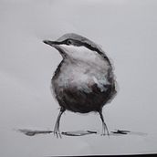 My project in Artistic Watercolor Techniques for Illustrating Birds course. Een project van Traditionele illustratie van Veronika - 04.05.2021