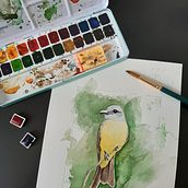 Pássaro 1. Watercolor Painting, and Traditional illustration project by Ioná Vasconcelos Amaral Santos - 05.04.2021