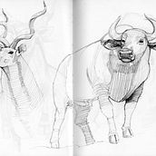 Animals. 2D Animation, Animation, Editorial Illustration, and Traditional illustration project by Sebastián García Muñoz - 05.04.2021