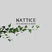 NATTICE, de la naturaleza al diseño. . Architecture, Interior Architecture, and 3D Design project by Nayeli Martínez - 02.22.2021