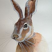 Os meus animais. . Drawing project by Maria - 05.05.2021