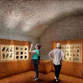 Concorso Torre Archivio. 3D, Architectural Illustration, Photograph, and Post-production project by francesca_solaro - 06.30.2016