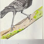 Mi Proyecto del curso: Relatos ilustrados: de la idea al papel. Traditional illustration project by Giovanni Molina - 05.06.2021