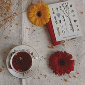 Flatlay naturalista. Commercial Photograph, Photographic Composition, Photograph, Mobile Photograph, Studio Photograph, Digital Photograph & Instagram Photograph project by Luísa Rocha - 05.06.2021