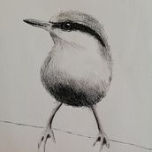 My project in Artistic Watercolor Techniques for Illustrating Birds course. Un proyecto de Pintura a la acuarela de Monique van Dam - 07.05.2021