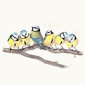 My project in Artistic Watercolor Techniques for Illustrating Birds course. Un proyecto de Ilustración tradicional, Pintura a la acuarela, Dibujo realista e Ilustración naturalista				 de Kateřina Pösingerová - 08.05.2021