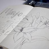 Mi Proyecto del curso: Introducción al bullet journal ilustrado. DIY, and Lettering project by Diana C Vargas G - 05.08.2021