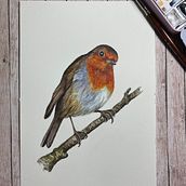 My project in Artistic Watercolor Techniques for Illustrating Birds course. Un proyecto de Pintura de Shan - 06.05.2021