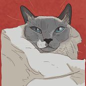 Retratos de mascotas . % Carlos Rojas tarafından hazırlanan Geleneksel illüstras, on, Sanat Yönetmenliği, Reklamcılık, Ve Tasarım projesi - 05.12.2021